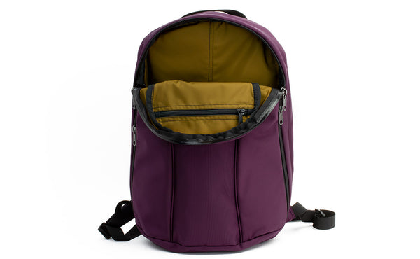The Luminary 15 in Aubergine (dark purple) 525 Ballistic with a Coyote (brown) 210 Ballistic interior.